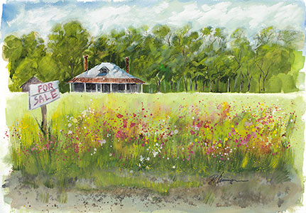The Fixer -upper
